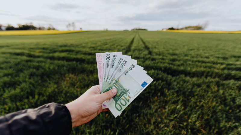 1000 евро каждому. Финансовый хаос произошел в Ирландии