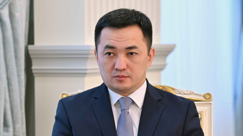 Айбек Дадебай отметил, что впереди значительная и значимая деятельность Правительства вместе с Парламентом