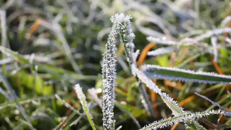 Астана готовится к ночным заморозкам: температура опустится до -5°C на улицах города 15 октября
