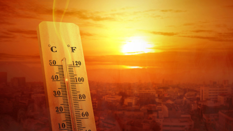 В Сочи на улице Виноградной: как избежать теплового удара при 45°C в жаркие дни августа