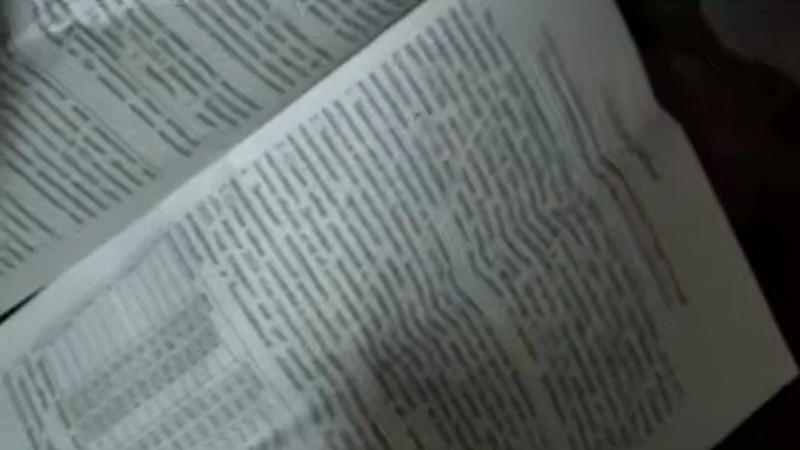 В Костанайской области раскрыта схема нелегального микрокредитования на 100 миллионов тенге
