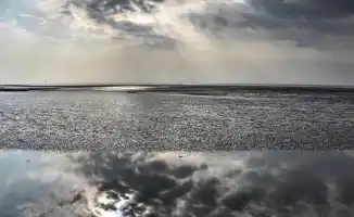 Разнообразие погоды в Казахстане 23 августа: дожди в Астане и Кокшетау