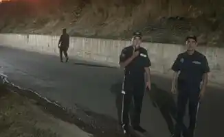 Пожар в горах Алматы: полиция контролирует ситуацию 15 октября