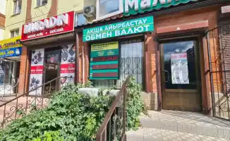 Курс рубля привел к наплыву россиян в Казахстан: магазины переполнены, но рубли остаются невостребованными