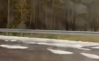 Снег выпал в конце августа: необычное явление зафиксировано недалеко от Астаны и вблизи села Макинка в Акмолинской области. Очевидцы делятся видео с трассы 'Астана-Кокшетау', подтверждая необычные погодные условия.
