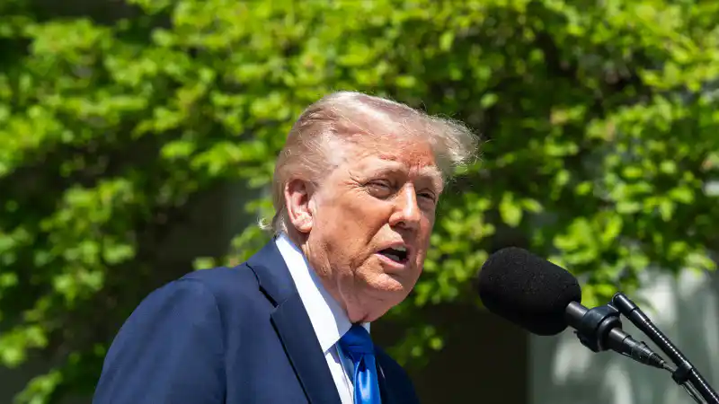 Трамп о возможной встрече Путина и Зеленского: социальные ожидания и реальность Атырау