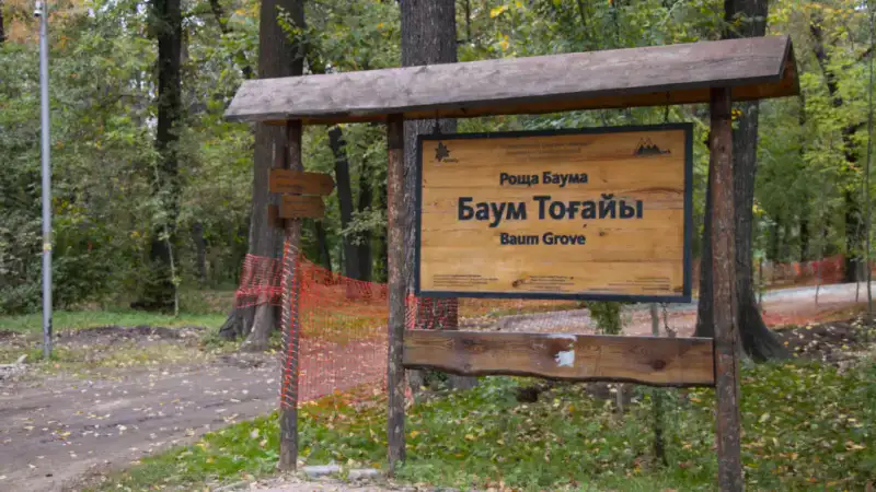 В Алматы подрядчики повредили деревья в роще Баума: акимат прокомментировал ситуацию Атырау