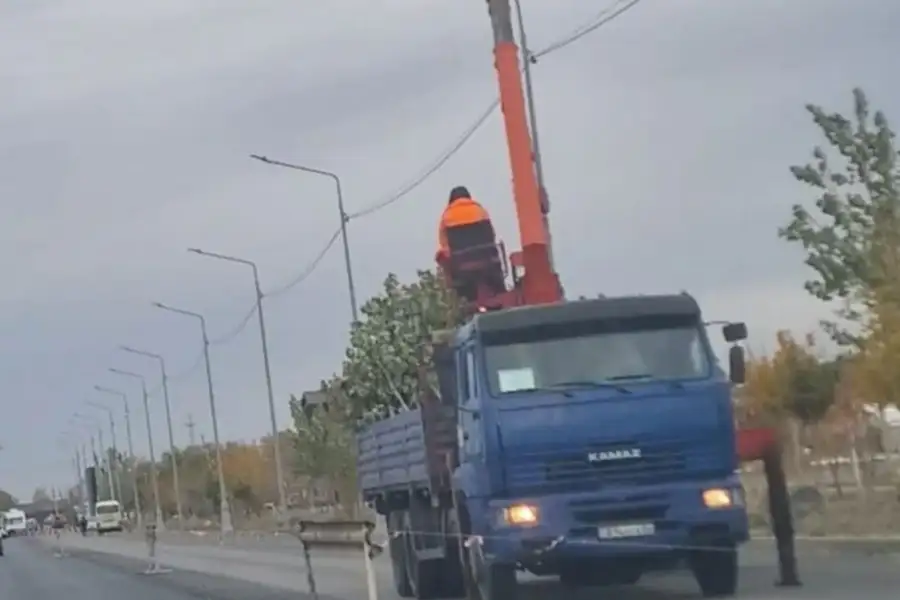 В Атырау переселение деревьев: местные жители обеспокоены исчезновением зелени на проспекте Абулхаир хана Атырау
