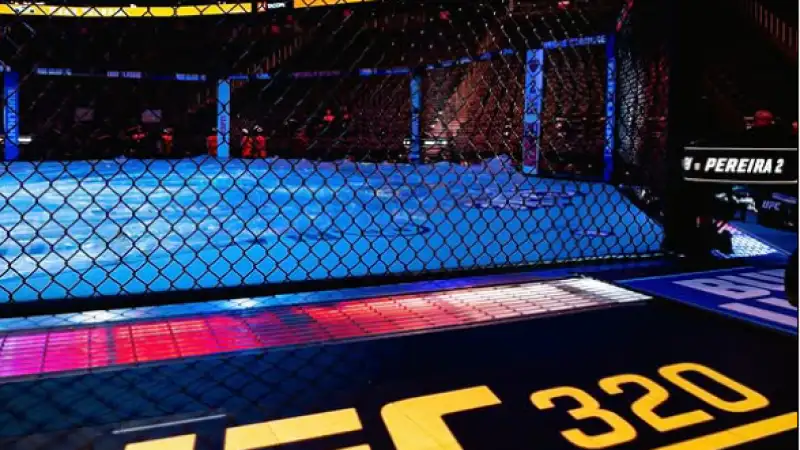 Драма на Ти-Мобайл Арена: Веретенников уступил в UFC 320 Атырау