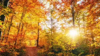 Прогноз погоды в Казахстане: тепло до +28°C и сухая погода 24 октября Атырау