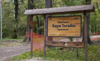 В Алматы подрядчики повредили деревья в роще Баума: акимат прокомментировал ситуацию