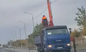 В Атырау переселение деревьев: местные жители обеспокоены исчезновением зелени на проспекте Абулхаир хана
