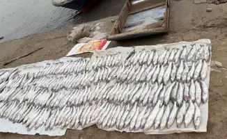 В Атырау браконьеры оставили улов и сбежали: инспекторы обнаружили корыто с судаком и браконьерскую сеть