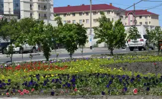 Крупнейшие предприятия Атырау объединяются для озеленения региона: новый меморандум на пути к экологическому будущему