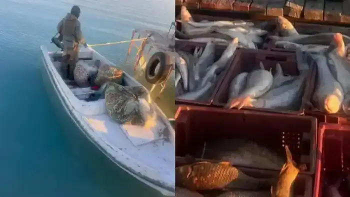 International Concern as Poachers Caught with Large Fish Haul at Lake Balkhash Атырау