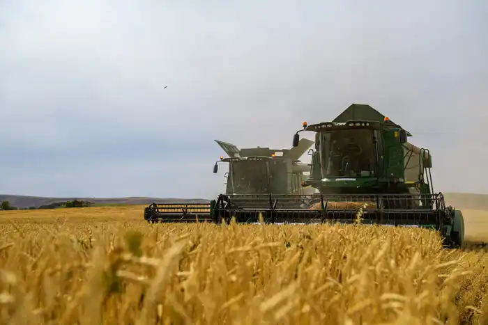 Жетісу: переработка продукции достигла 68% Атырау