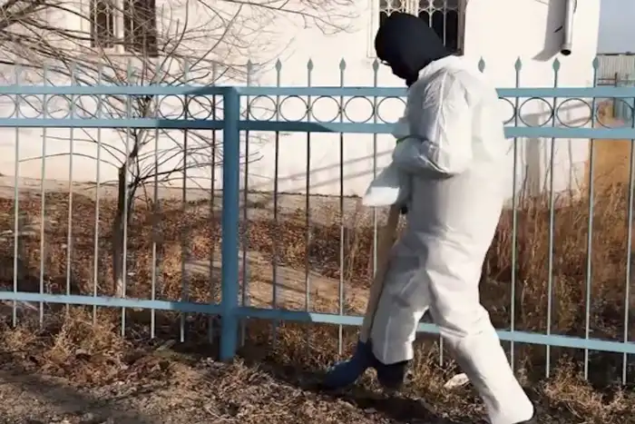 В Алмалинском сельском округе завершается международная дезинсекция: борьба с вредителями через специализированные препараты Атырау