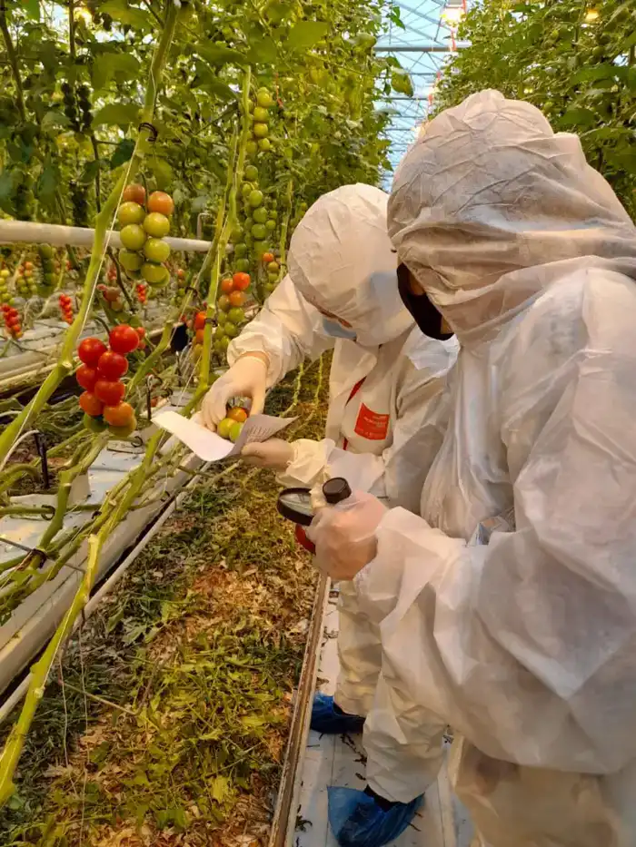 Платная фитосанитарная экспертиза и продовольственная безопасность Казахстана Атырау