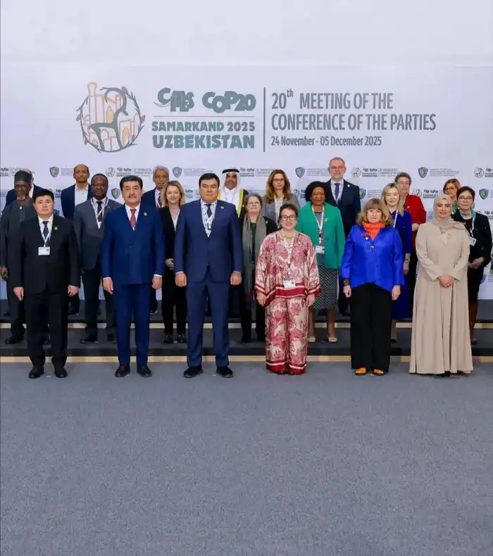 Обсуждено стратегическое воздействие CITES CoP20 (5)