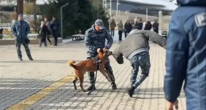 Четвероногий детектив: как собака покорила студентов Атырау