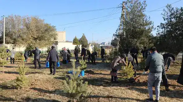 В Арысе прошла акция по посадке деревьев, в которой приняли участие аким города и местные жители Атырау