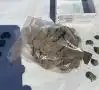 Клад в Сарайшыке, 2022 г. 