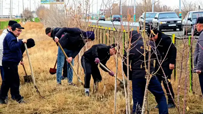 Экологические инициативы в Кызылординской области: участие более 440 тысяч волонтеров в очистке региона Атырау