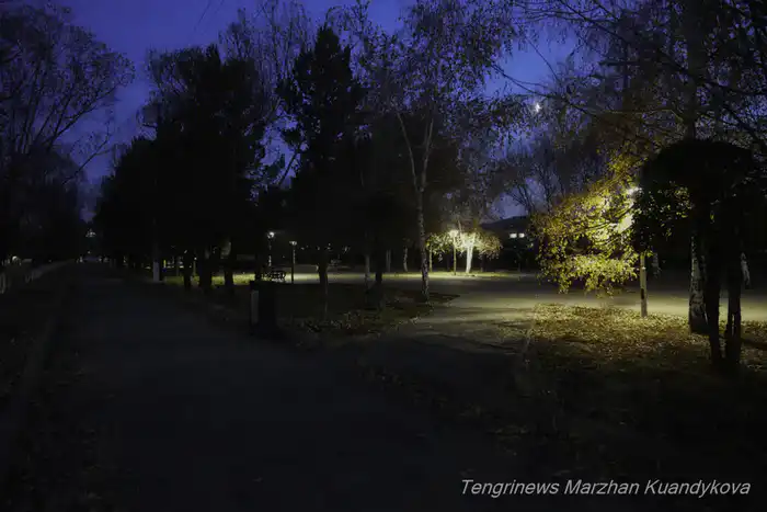 темная аллея
