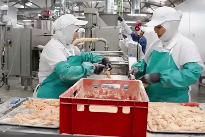 В Атырау открылся новый цех по производству куриных полуфабрикатов, занимающий площадь 1 080 квадратных метров. Производственные мощности позволяют выпускать от 2 до 3 тонн продукции в сутки, что составляет до 70 тонн в месяц. Атырау