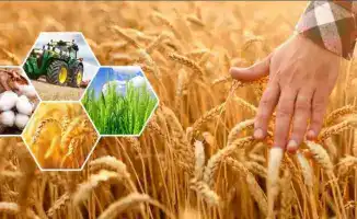 Актюбинск: сельхозпродукция на 296,8 млрд тенге!