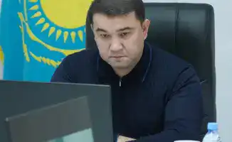 Пожар в Туркестанской области: влияние на местное население и меры реагирования правительства