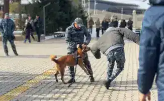 В Жетысуском университете прошла встреча по профилактике наркоправонарушений с участием полицейских и кинологов