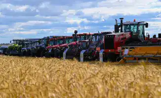 Акмолинская область достигает рекордов в производстве сельхозпродукции на 1 триллион тенге