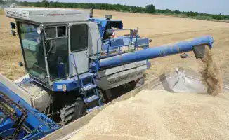 Рост валовой продукции сельского хозяйства Казахстана на 5,4% в 2025 году