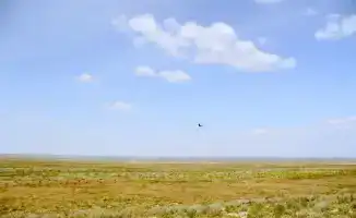 В области Абай завершено возвращение 171,2 тыс. га неиспользуемых сельскохозяйственных земель в государственную собственность