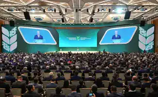 А. Сапаров: Животноводство как ключ к продовольственной безопасности и экспорту