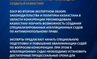 ОЭСР предлагает Казахстану меры для усиления антимонопольного правоприменения