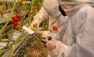 Платная фитосанитарная экспертиза и продовольственная безопасность Казахстана