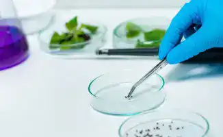 Казахстан вводит платную карантинную фитосанитарную экспертизу для улучшения контроля подкарантинной продукции