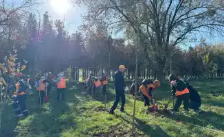 ТУРКЕСТАН: ЭКОЛОГИЧЕСКАЯ ИНИЦИАТИВА В САЙРАМСКОМ РАЙОНЕ — 100 НОВЫХ ДЕРЕВЬЕВ И 16 ТОНН ОТХОДОВ, ВЫВЕЗЕННЫХ УЧАСТНИКАМИ СУББОТНИКА