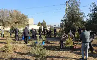 В Арысе прошла акция по посадке деревьев, в которой приняли участие аким города и местные жители