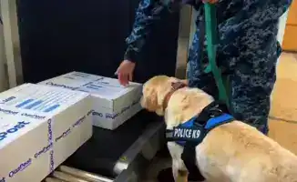 Выявление правонарушений и изъятие наркотиков в Западно-Казахстанской области за 10 месяцев 2025 года