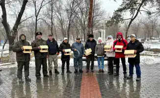 «Птицы в зимнем уюте»: кормушки для пернатых обустроены в парке Майкудука