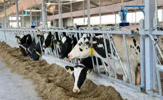 Кампания по заготовке кормов в Казахстане завершена: собрали 39,8 млн тонн