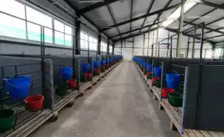 Открытие молочно-товарной фермы на 1200 голов в Костанайской области