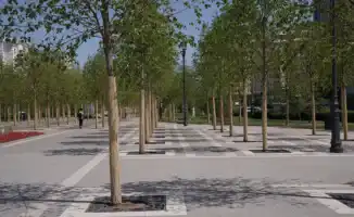 В Астане липа стоит как полгода пенсии