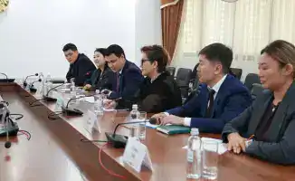 Обсуждение экологичных решений в авиации на встрече с директором ИКАО