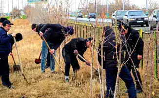 Экологические инициативы в Кызылординской области: участие более 440 тысяч волонтеров в очистке региона
