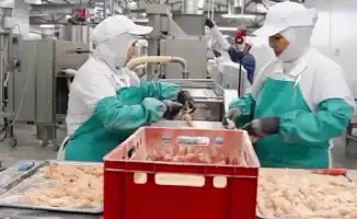 В Атырау открылся новый цех по производству куриных полуфабрикатов, занимающий площадь 1 080 квадратных метров. Производственные мощности позволяют выпускать от 2 до 3 тонн продукции в сутки, что составляет до 70 тонн в месяц.