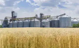 Цифровизация сельского хозяйства и новые элеваторы: шаг к устойчивому развитию агросектора Казахстана